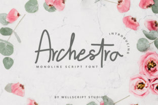 Archestra: A Beautiful Script Font for Branding & Crafting