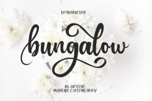 Bungalow Script Font: A Modern Typeface for Campaign Creatives