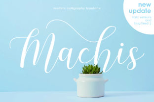 Machis: The Modern Calligraphy Font for Your Brand
