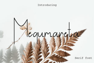 Megumareta Serif Font for Polished Brand Visuals