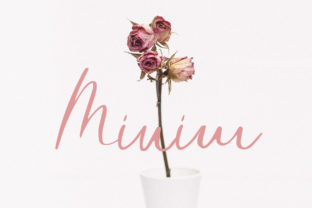 Minim Script Font for Elegant Branding