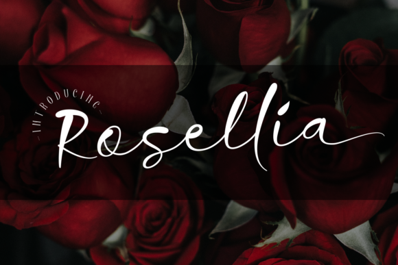 Rosellia: A Script Handwritten Font That Makes Your Campaign Stand Out
