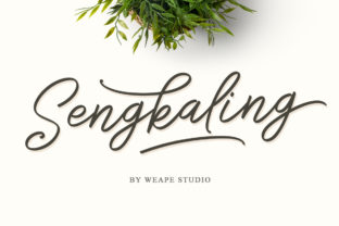 Sengkaling Script Font: A Campaign Designer’s Review