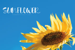Sunflower: A Script Handwritten Font for Authentic Brand Voice
